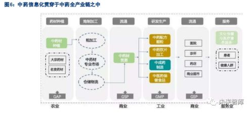 生物醫藥中藥產業信息化專題報告 軟件與信息技術服務的角色與發展