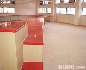 專業(yè)設(shè)計服務(wù) 以誠意為客戶打造理想空間